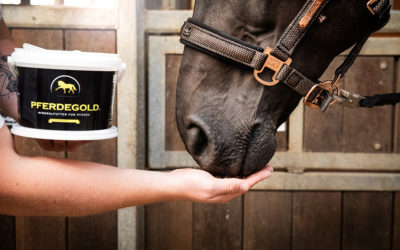 Vitaminmangel beim Pferd? Ein Mineralfutter kann helfen